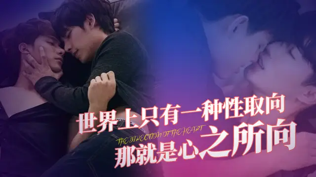 真愛精選 同性戀 男同2