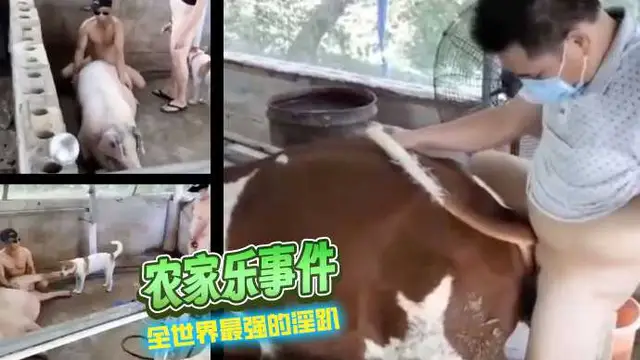 [小編推薦]農家樂事件，全世界最強的淫趴