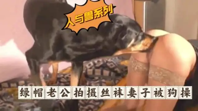 綠帽老公拍攝絲襪妻子被狗猛操-變態